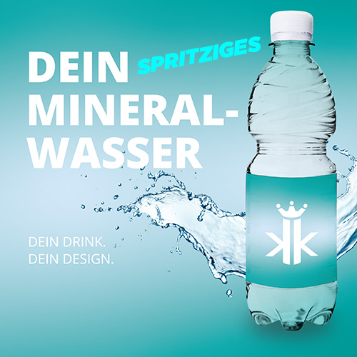 Wasser PET 500ml spritzig